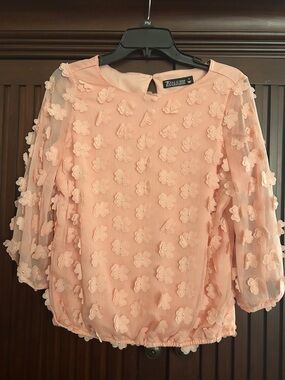7 th Avenue Peach Floral Applique Sheer-Sleeve Blouse